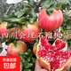 四川會(huì )理石榴樹(shù)苗嫁接突尼斯純甜軟籽石榴苗南方北方庭院地栽種植 四川會(huì )理石榴樹(shù)苗 5年高品質(zhì)苗【當年結果】1棵