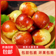 冰糖冬棗新鮮水果生鮮脆甜小糖丸沾化冬棗果園直發(fā)【多產(chǎn)地發(fā)貨】 整箱0.8-1斤 單果12g+中果