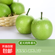 青皮蜜梨 脆甜多汁 新鮮采摘 產(chǎn)地直發(fā)中翠新1 帶箱2斤 單果200g+