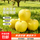 山東煙臺黃金奶油富士蘋(píng)果脆甜冰糖心很像維納斯蘋(píng)果 果王帶箱9.5斤80mm+