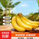 國產(chǎn)高山甜香蕉  新鮮水果 室溫放蘋(píng)果半密封催熟 9斤凈重