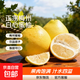正宗梅州白心蜜柚非沙田柚新鮮水果現(xiàn)摘直發(fā)丫丫 中果/1.5-2.5斤 1粒裝【嘗鮮】
