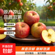 【彩箱精品】大涼山丑蘋(píng)果鹽源四川冰糖25新鮮水果整箱孕婦紅富士 整箱9斤A+級果王【果徑85-90】