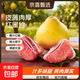 正宗2025年新品紅心柚子紅肉蜜柚匯果薄皮紅柚新鮮應(yīng)季水果現(xiàn)貨 1-1.5斤/2個裝