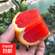 橙子樹(shù)苗冰糖橙子苗庭院地栽盆栽果樹(shù)苗贛南臍橙大果南北方種植 血橙 6年苗（結果苗）