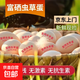新鮮富硒雞蛋農家谷物蛋45-55克現撿現發(fā)破損包賠 40枚富硒蟲(chóng)草蛋（升級珍珠棉）