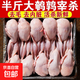 大號母鵪鶉新鮮鵪鶉肉速凍白條鵪鶉燒烤鵪鶉鳥(niǎo)現殺乳鴿生鮮批發(fā) 【20只】宰殺后3兩左右大鵪鶉