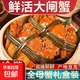 蘇州鮮活大閘蟹產(chǎn)地直發(fā)本地蟹河蟹六月黃螃蟹禮盒裝清水養殖 全母1.2-1.5兩12只裝