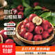 甜紅子山楂鮮果新鮮水果山里紅糖葫蘆炒貨糖雪球山東直發(fā)泡酒專(zhuān)用 2斤帶箱（精品果）