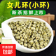茉莉花茶特級2025新茶濃香型女兒環(huán)廣西橫縣茶廠(chǎng)貴妃環(huán)茶葉自己喝 250克茉莉玉環(huán)