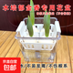 水培郁金香花盆含定植籃水養種球玻璃器皿方便換水透明不含植物 透明塑料方盆(寬10高10cm_+白色定植籃 1個(gè)
