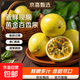 黃金百香果欽蜜9號大果孕婦新鮮當季鮮果妃多多 欽密9號百香果45-60g 凈重3斤 爆甜【產(chǎn)地直發(fā)】越皺越甜