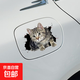 個(gè)性寵物貓咪車(chē)貼抓痕汽車(chē)貼紙車(chē)身劃痕遮擋貼摩托車(chē)3D卡通貼防水 新款貓咪貼 小號13cm