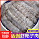 鮮剝無(wú)殼皮皮蝦肉Q彈鮮甜 免處理 生鮮海鮮水產(chǎn)蝦類(lèi)京東快遞 1包 200g(凈重)