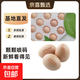 大牌同廠(chǎng)精選無(wú)抗生素鮮雞蛋溏心蛋谷物蛋早餐生鮮超市 精選無(wú)抗鮮雞蛋60枚裝