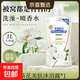 經(jīng)典大容量沐浴露持久留香滋潤保濕清新沐浴液紅石榴山茶花 山茶花美膚沐浴露1L*1瓶