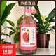 河陰情 NFC100%石榴汁 果汁飲料 268mL*6瓶