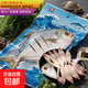湛江特產(chǎn)深海特大號一斤多大金鯧魚(yú)野生海捕漁民淡曬微干油脂豐富 【全國新鮮速達】油脂豐富特大金鯧魚(yú)淡曬一夜埕整條 一條裝1包1條（凈含量500g-550g)