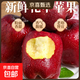 2025年現摘現發(fā)甘肅天水花牛蘋(píng)果新鮮紅蛇果粉面生鮮脆甜多汁A14 帶箱4斤  果徑75mm以上