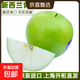 上海發(fā)貨新西蘭進(jìn)口青蘋(píng)果酸甜脆口肉嫩青蛇果孕媽新鮮水果當季 品質(zhì)大果（單果170-190g） 【實(shí)惠】8顆