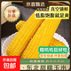 東北新鮮黃糯玉米甜糯玉米棒真空裝即食低脂減肥早餐生鮮蔬菜水果 黃糯玉米5斤（7-10棒）