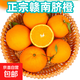 贛南臍橙江西正宗贛州臍橙新鮮水果孕婦手剝橙子榨汁橙團購送禮盒 20斤彩箱（特級單果230g+）送開(kāi)橙器
