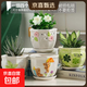 花盆陶瓷綠植盆栽帶托盤(pán)室內客廳透氣簡(jiǎn)約吊蘭綠蘿多肉家用綠植盆 MH卡通盆小熊中號4個(gè) 【以實(shí)物為準】
