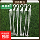 柯必達（KeBiDa）綠蘿吊蘭愛(ài)之蔓綠植塑料八角花盆掛鉤吊掛陽(yáng)臺懸 8根 35-40CM