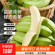 富硒蕉海南綠皮單根香蕉單條皮青肉糯健身補鉀水果生鮮全站 單根香蕉青蕉發(fā)貨 凈重 9斤