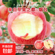 脆甜多汁山東煙臺紅富士蘋(píng)果皮薄當季水果棲霞蘋(píng)果生鮮 煙臺蘋(píng)果帶箱1斤凈重0.6斤大果70mm+