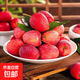 正宗東北雞心果特色錦繡海棠果特產(chǎn)沙果小蘋(píng)果新鮮整箱當季包郵 中果（4.0）5斤