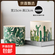 花盆綠植盆栽大口徑陶瓷花盆家用室內蝴蝶蘭綠蘿北歐藝術(shù)大花盆 JH綠葉仙人掌2個(gè)組合（送塑料盤(pán) 圖上有尺寸