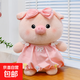 新款情侶鑰匙豬玩偶小豬公仔豬豬毛絨玩具兒童布娃娃生日禮物女孩 粉色款 20cm