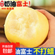 新鮮蘋(píng)果煙臺黃金奶油富士蘋(píng)果 2025年新果下樹(shù)60-90mm 2粒箱裝