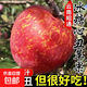 云南高原紅露蘋(píng)果當季水果冰糖心丑蘋(píng)果輕食純甜皮薄多汁包郵到家 【含箱3斤】中果