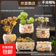 花盆綠植盆栽大口徑拼盤(pán)多肉陶瓷素燒透氣粗陶桌面綠植手繪小花盆 SK陽(yáng)光花朵組合5個(gè) 【看圖標注】