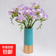 香雪蘭小蒼蘭鮮切花云南鮮花直發(fā)幽香四溢520母親節禮物 香雪蘭紫色10枝