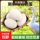 逗別三日農家大鵝蛋100g以上大個(gè)鵝蛋營(yíng)養孕婦整箱京東快遞 鵝蛋6枚100g以上