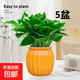 【綠蘿盆栽】吸甲醛凈化空氣水培綠植物懶人花卉好養搬家禮物全 【熱銷(xiāo)5盆】綠蘿+橙色南瓜盆自吸水 整體含盆高度20-25cm