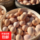 鮮雞蛋初生蛋月子雞蛋鮮雞蛋柴雞蛋現撿現發(fā)40-50g±5g 6枚土雞蛋