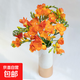 香雪蘭小蒼蘭鮮切花云南鮮花直發(fā)幽香四溢520母親節禮物 香雪蘭橙色10枝