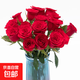 玫瑰花云南鮮花批發(fā)真花家用鮮花插瓶水養節日禮物玫瑰鮮花 高原紅玫瑰18+2枝防損耗