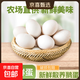 逗別三日新鮮農家土鵝蛋特大孕婦寶寶早餐整箱 現撿現發(fā)滋補營(yíng)養 新鮮散養鵝蛋6枚裝【100-130克】