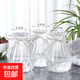 水培風(fēng)信子瓶子 透明花瓶 風(fēng)信子專(zhuān)用 水培玻璃瓶子塑料瓶子 3個(gè)_鉆石透明風(fēng)信子瓶(玻璃) 中等