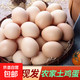 山林散養土雞蛋現撿現發(fā)新鮮雞蛋整箱發(fā)貨 【50枚土雞蛋】單枚約40g