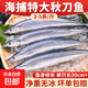 大號秋刀魚(yú) 3-5條/斤無(wú)冰凈重新鮮海捕鮮活冷凍海鮮燒烤食材魚(yú)類(lèi) 海捕秋刀魚(yú)4斤（3-5條/斤）
