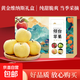 煙臺黃金維納斯蘋(píng)果  脆甜多汁 皮薄肉厚 禮盒裝 維納斯10斤裝凈重8.5斤