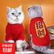 可愛(ài)秋冬貓咪狗狗寵物衣服新款加絨保暖兩腳衣服新年防掉毛小型犬 紅色加絨款【招財】 XL【建議8-11斤】