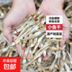 海燕魚(yú)干小魚(yú)干咸魚(yú)小魚(yú)仔毛毛海鮮干貨小咸魚(yú)干自曬風(fēng)干漁民原味 海燕魚(yú)干500g