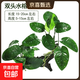 魚(yú)缸真水草凈水新手水榕沉木水族箱造景裝飾懶人沉底不用底砂 雙頭水榕沉木